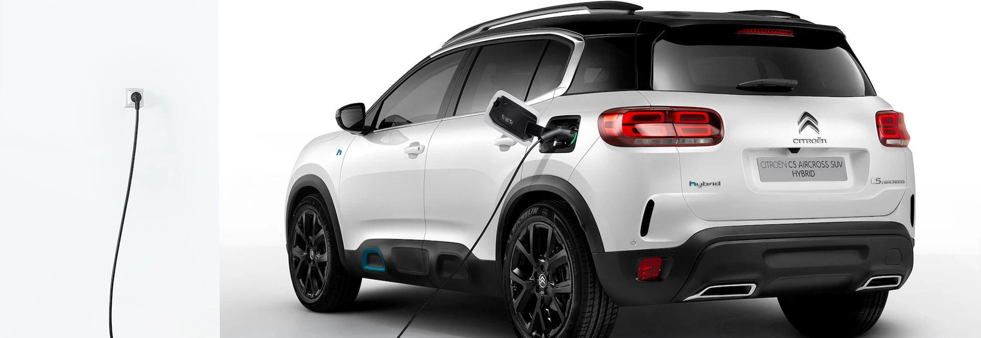 10 best electrified cars for dog owners 2020